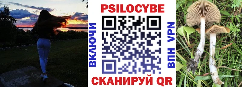 Псилоцибиновые грибы Psilocybine cubensis  сколько стоит  Орлов 